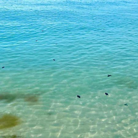 Beachfront Apartment With Swimming Pool. One Bedroom 塞莱斯通 外观 照片