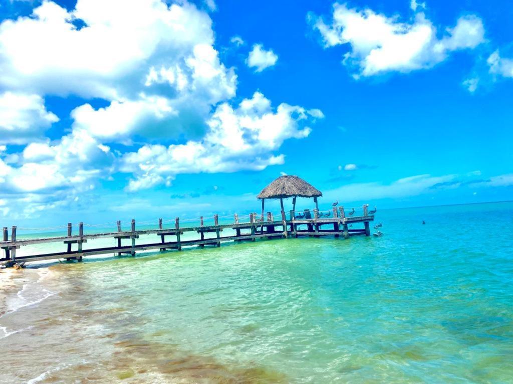 Beachfront Apartment With Swimming Pool. One Bedroom 塞莱斯通 外观 照片