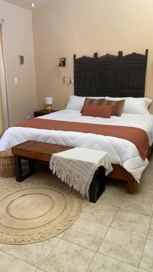 Beachfront Apartment With Swimming Pool. One Bedroom 塞莱斯通 外观 照片