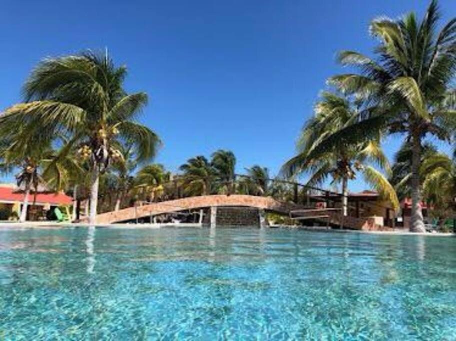 Beachfront Apartment With Swimming Pool. One Bedroom 塞莱斯通 外观 照片