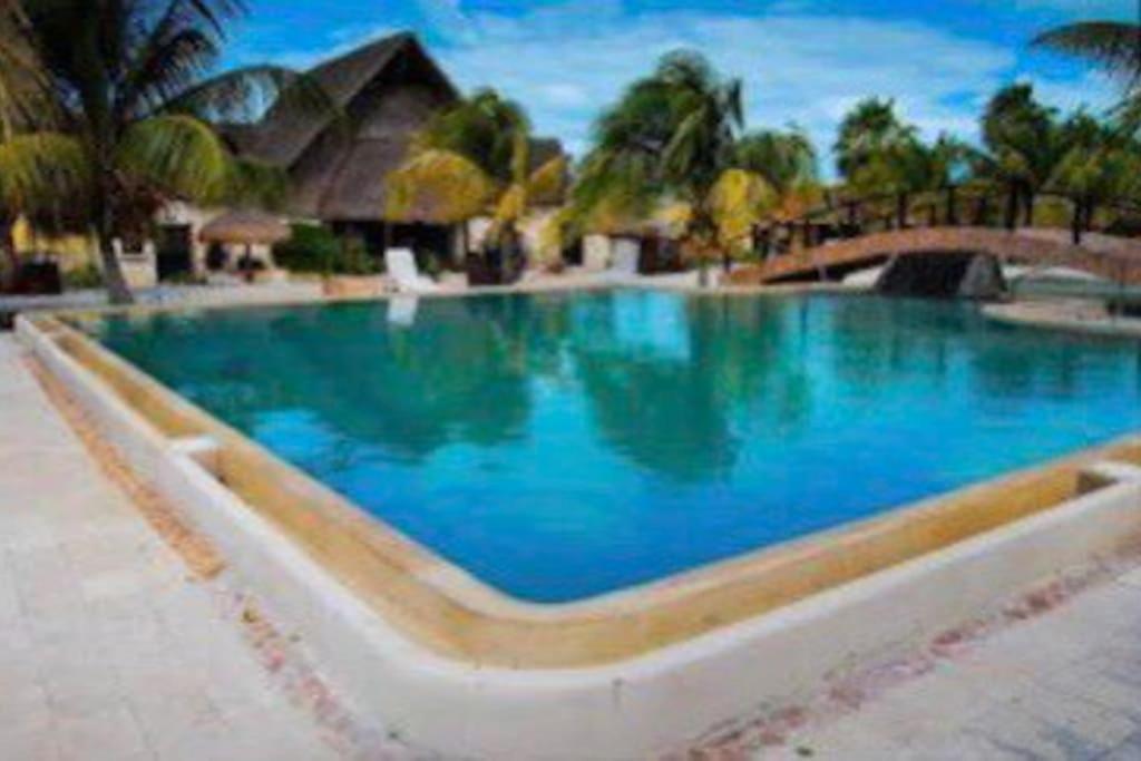 Beachfront Apartment With Swimming Pool. One Bedroom 塞莱斯通 外观 照片